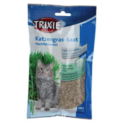 Sementes de erva gateira - Erva para gatos