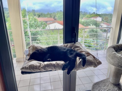 Cama de janela formato plano NEJI photo review