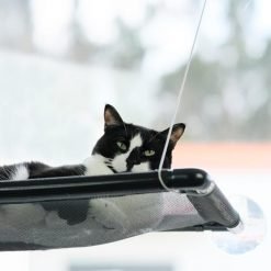 Alternative view of Cama de janela formato plano NEJI