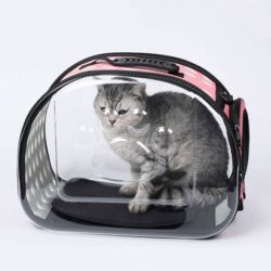 Alternative view of Bolsa transportadora transparente LEO