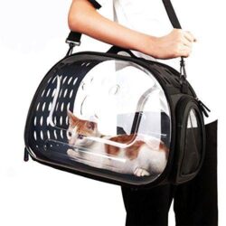 Bolsa transportadora transparente LEO - Image 5