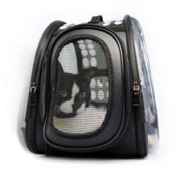 Bolsa transportadora transparente LEO - Image 4