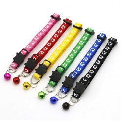 Alternative view of Coleira SwirlPaw