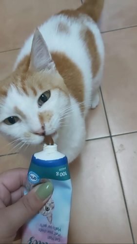 Malte para Gatos Trixie - Anti bolas de pêlo photo review