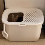 Caixa de areia HOP IN com acesso por cima (Savic) photo review