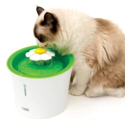 gataria-fonte-de-agua-para-gatos-catit-flower-fountain-flor-3-litros