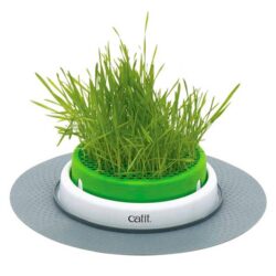 Germinador de erva para gatos CATIT senses 2.0 - Image 5