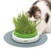 Germinador de erva para gatos CATIT senses 2.0