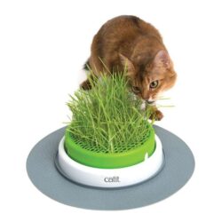 Germinador de erva para gatos CATIT senses 2.0 - Image 3