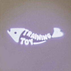 Apontador LED com figura (Catch the light) - Image 3