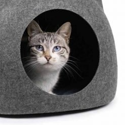 Alternative view of Caverna formato felino ERNIE