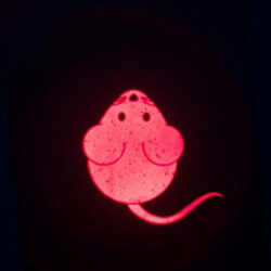 Apontador LED com figura de Rato CATCH THE LIGHT - Image 3