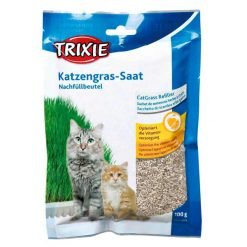 Sementes de erva gateira tenra