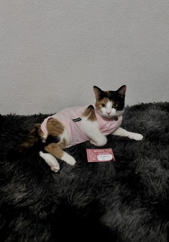 Fato/Body de recuperação pós-cirúrgico photo review