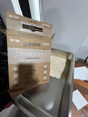 Caixa de areia aberta NOX em aço inoxidável photo review