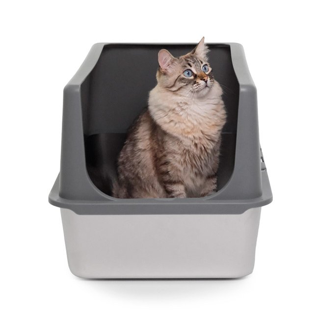 Caixa de areia aberta NOX em aço inoxidável - Image 4