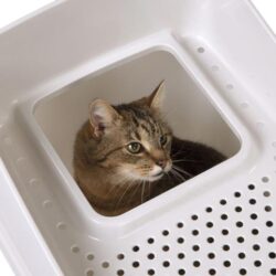 Alternative view of Caixa de areia com acesso no topo NO MESS LITTER BOX