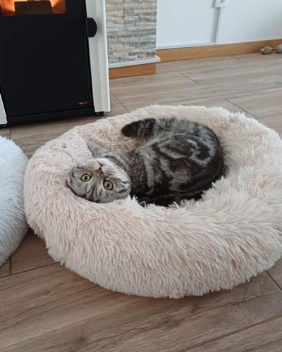 Cama redonda felpuda RELAX photo review