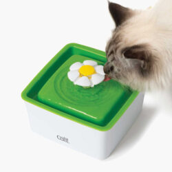 gataria-fonte-de-agua-para-gatos-catit-mini-flower-fountain-flor-1-5-litros