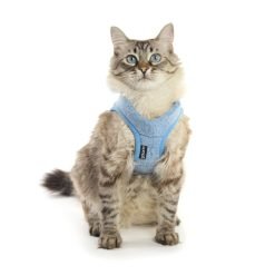 Alternative view of Peitoral + trela máximo conforto FELIX