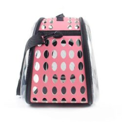 Bolsa transportadora transparente LEO - Image 12