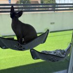 Cama de janela em feltro WindowPaw photo review