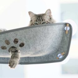 Alternative view of Cama de janela em feltro WindowPaw