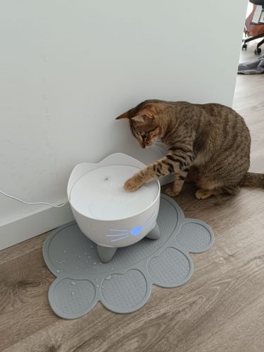 Fonte Catit Pixi com topo em plástico 2,5 L (várias cores) photo review