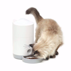 gataria-comedouro-inteligente-automatico-catit-pixi-smart-feeder-controlo-por-aplicação-app