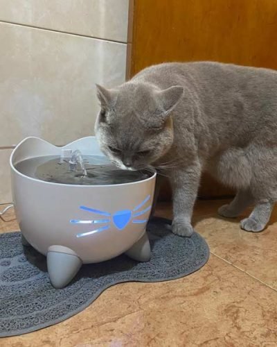 Fonte Catit Pixi Inteligente c/ controlo por APP e desinfeção por UV-C (2 L) photo review