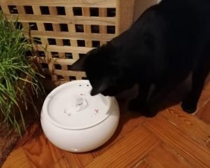 Fonte em cerâmica LOTUS 1,8 L photo review