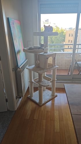 Árvore arranhador DERRY multi-nível 142 cm photo review