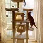 Árvore arranhador BOSS multi-nível 170 cm photo review