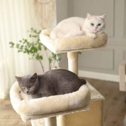 gataria-arranhador-para-gatos-formato-árvore-145-cm-bege