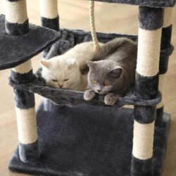 gataria-arranhador-para-gatos-formato-árvore-145-cm-cinza-escuro