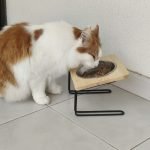 Comedouro elevado e inclinado VINSON photo review