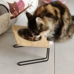 Comedouro elevado e inclinado VINSON photo review