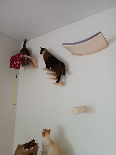 Escadas de parede SKYLER com sisal natural photo review