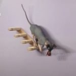 Escadas de parede SKYLER com sisal natural photo review