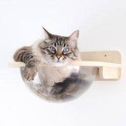 Cama de parede ORION formato cápsula transparente