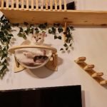 Cama de parede ORION formato cápsula transparente photo review