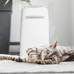 LitterLocker - Caixote para resíduos da caixa de areia de Gato