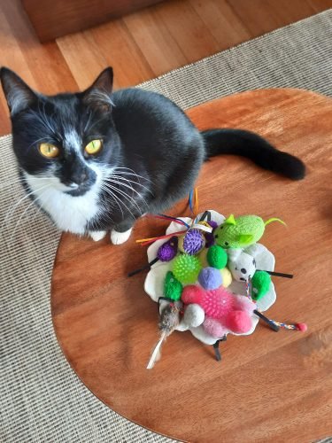 Bolas de pelúcia - Pack de 4 un. photo review