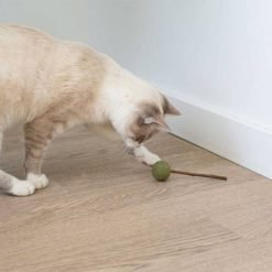 Alternative view of Chupa Matatabi e Catnip