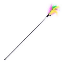 Alternative view of Cana com penas