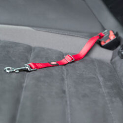 gataria-peitoral-vermelho-para-carros-com-cinto-de-segurança-gatos-trixie-3