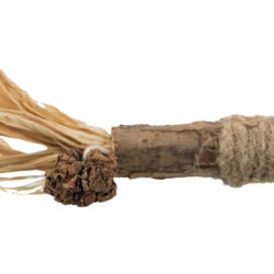 Stick de matatabi