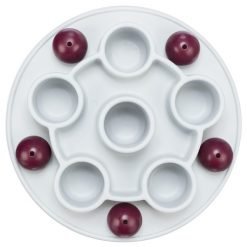 Cat activity Pentagon Trixie