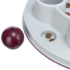 Cat activity Pentagon Trixie