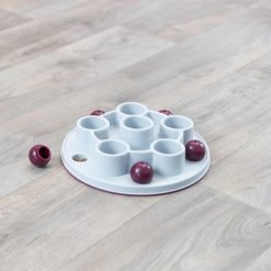 Cat activity Pentagon Trixie